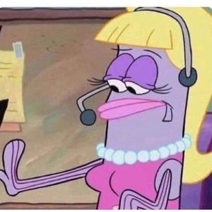 Meet your Posher, Rylee